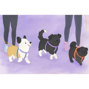 Group Walks